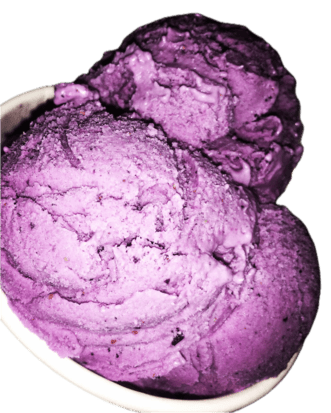 Purple Berry